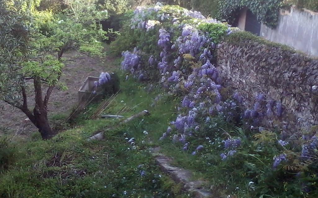 B&B Costa Lupara - Villa Murchio Alassio Luaran gambar